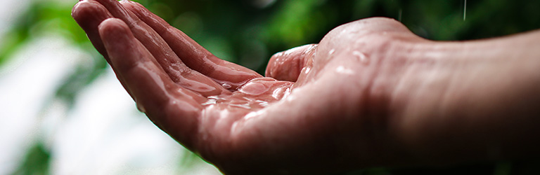 Rainwater harvesting techniques